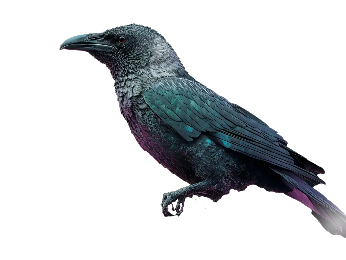 Large, intelligent raven or crow looking forward with digital light effects