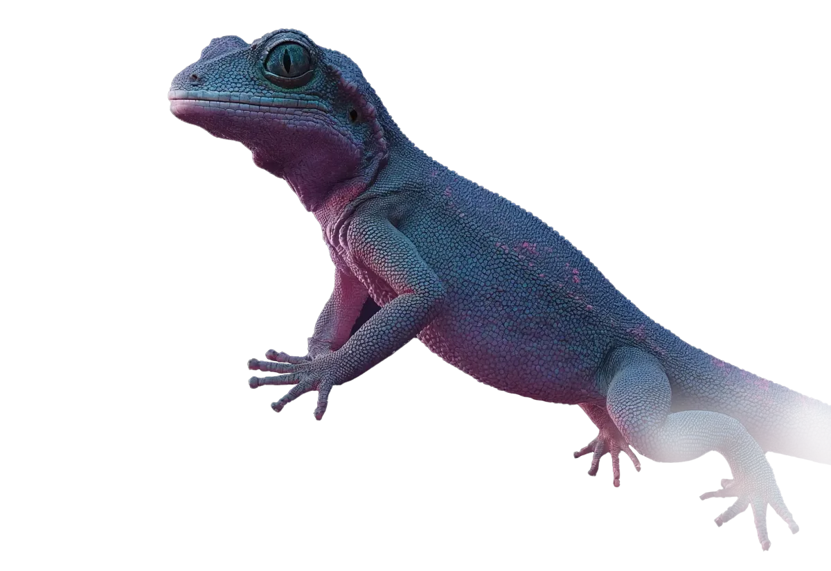 Large reptile (gecko or lizard) with glowing lights and dark background
