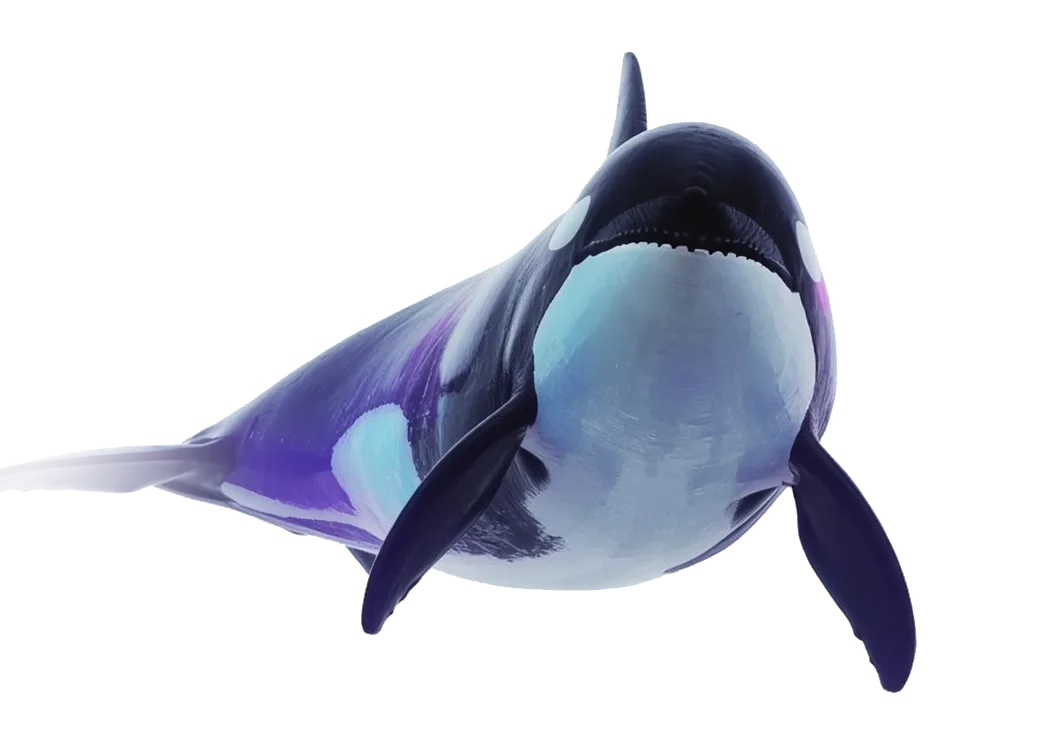 Orca whale swimming in dark water, representing digital expertise