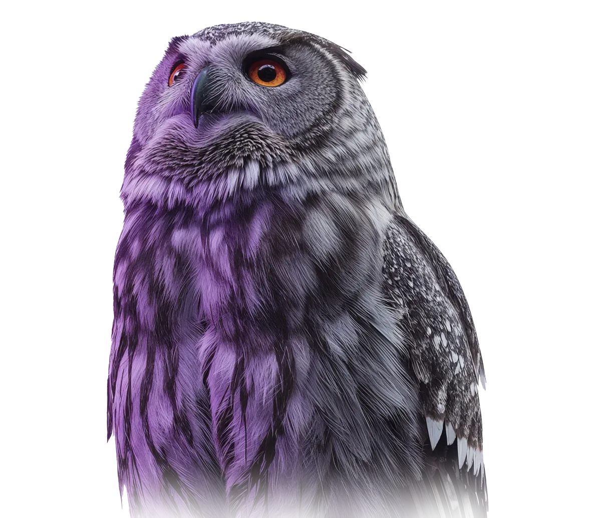 Wise owl with glowing eyes, representing deep intelligence and AI integration